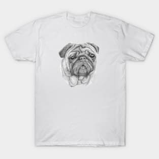 Pug - 2 T-Shirt